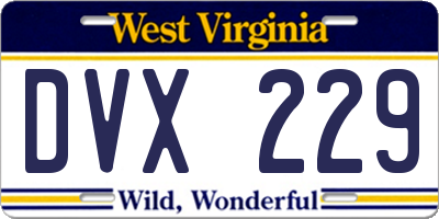 WV license plate DVX229