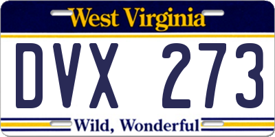 WV license plate DVX273