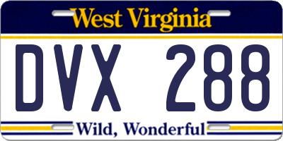 WV license plate DVX288