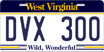 WV license plate DVX300