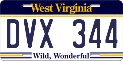 WV license plate DVX344