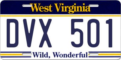 WV license plate DVX501