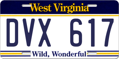 WV license plate DVX617
