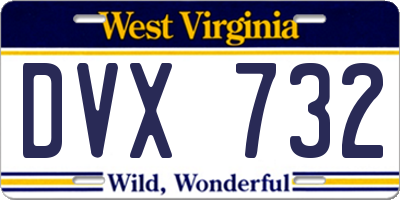 WV license plate DVX732