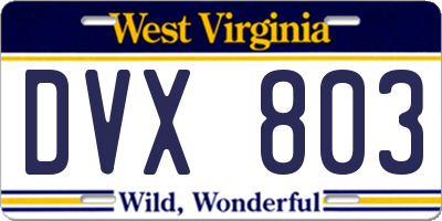 WV license plate DVX803