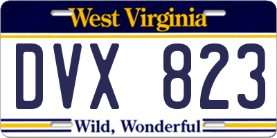 WV license plate DVX823