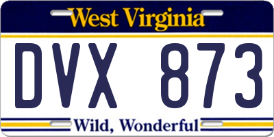WV license plate DVX873