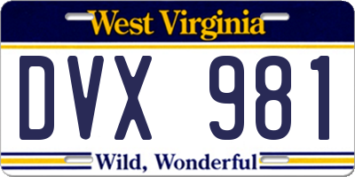 WV license plate DVX981