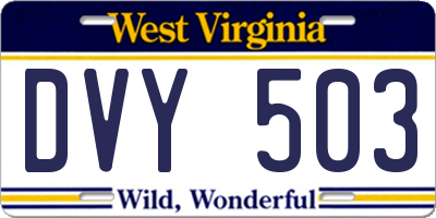 WV license plate DVY503