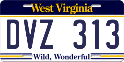 WV license plate DVZ313