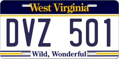 WV license plate DVZ501