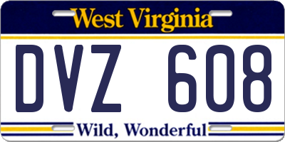 WV license plate DVZ608