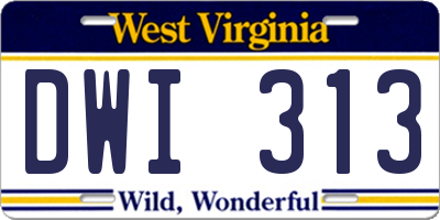 WV license plate DWI313