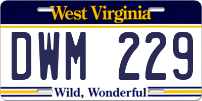 WV license plate DWM229