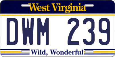 WV license plate DWM239