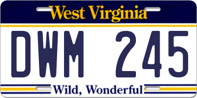 WV license plate DWM245
