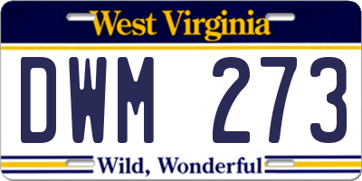WV license plate DWM273