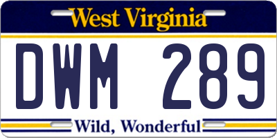 WV license plate DWM289