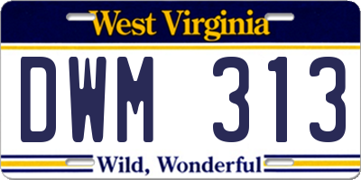 WV license plate DWM313