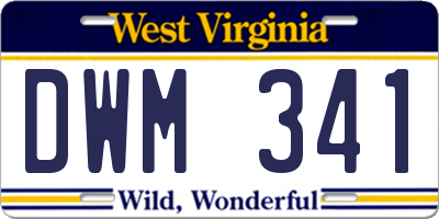 WV license plate DWM341