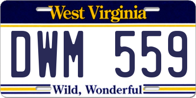WV license plate DWM559