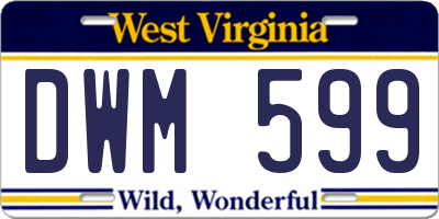 WV license plate DWM599