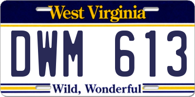 WV license plate DWM613