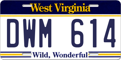 WV license plate DWM614