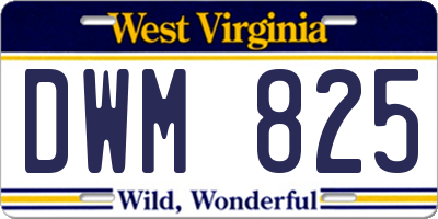 WV license plate DWM825