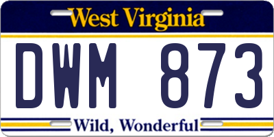 WV license plate DWM873