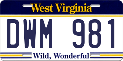 WV license plate DWM981