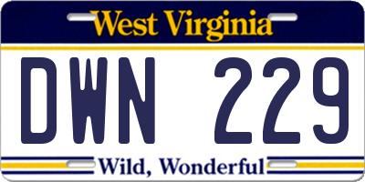 WV license plate DWN229