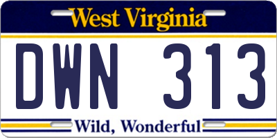 WV license plate DWN313