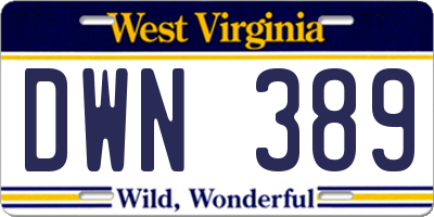 WV license plate DWN389