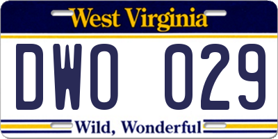 WV license plate DWO029