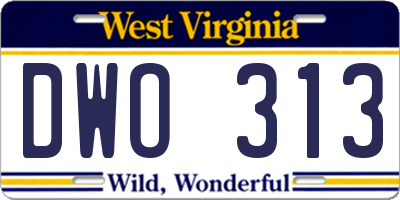 WV license plate DWO313