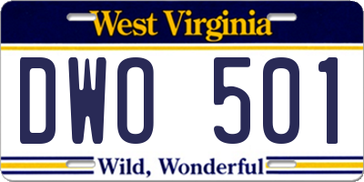 WV license plate DWO501
