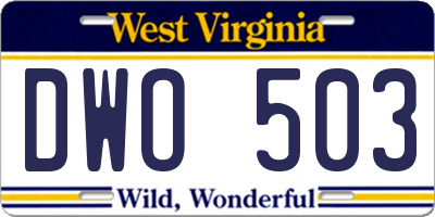 WV license plate DWO503