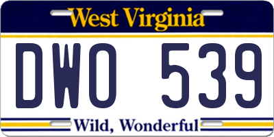 WV license plate DWO539