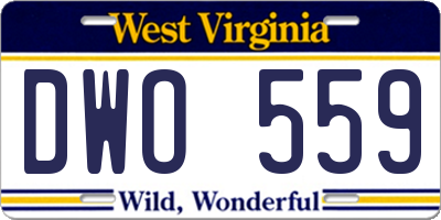 WV license plate DWO559