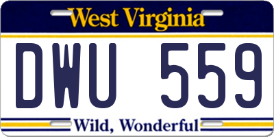 WV license plate DWU559