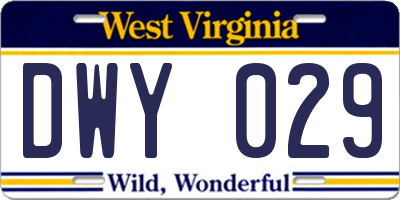 WV license plate DWY029