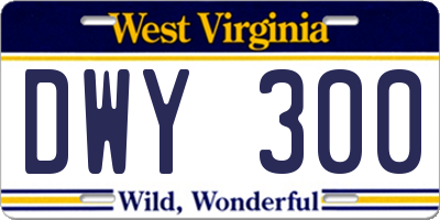 WV license plate DWY300