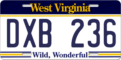 WV license plate DXB236