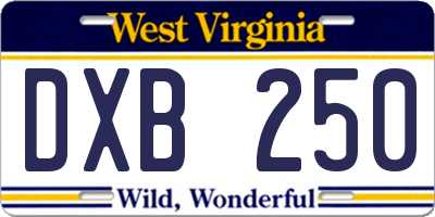 WV license plate DXB250