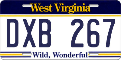 WV license plate DXB267