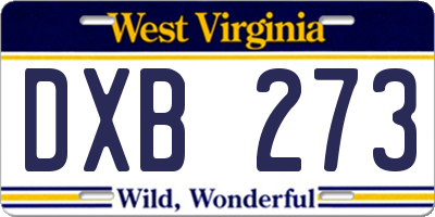 WV license plate DXB273