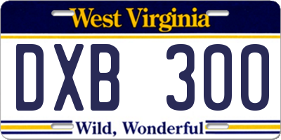 WV license plate DXB300