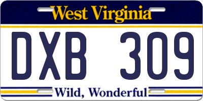 WV license plate DXB309