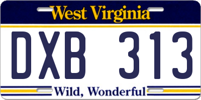 WV license plate DXB313